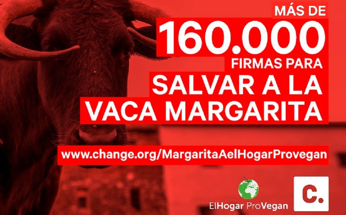Cartell de les 160.000 firmes que s'ha recollit per salvar a la vaca Margarita.