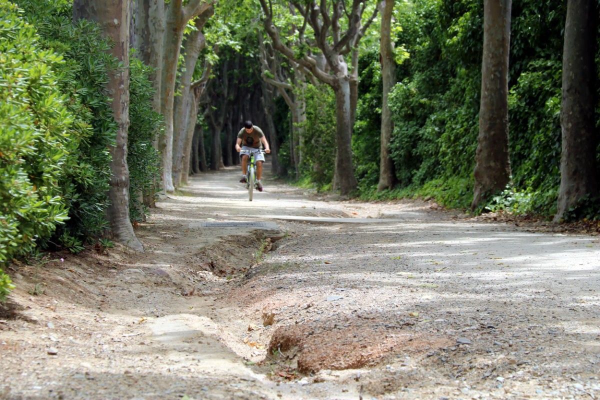 Un noi en bicicleta, pujant pel passeig de la Boca de la Mina de Reus