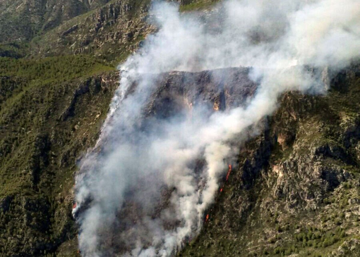 El foc s'ha declarat a l'entorn de la Punta del Capelló.