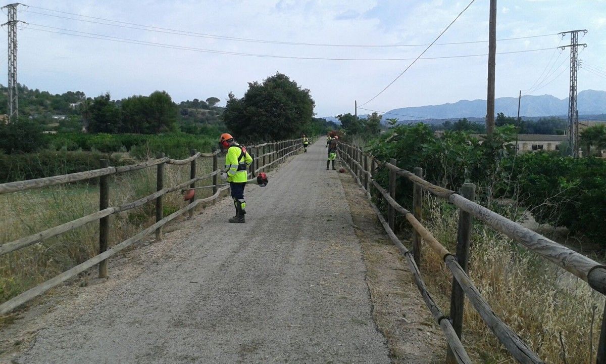 Els treballadors del Pla d'Ocupació Comarcal del Baix Ebre realitzen estos dies tasques de neteja a la Via Verda del Baix Ebre entre Tortosa, Roquetes, Aldover, Xerta i Benifallet