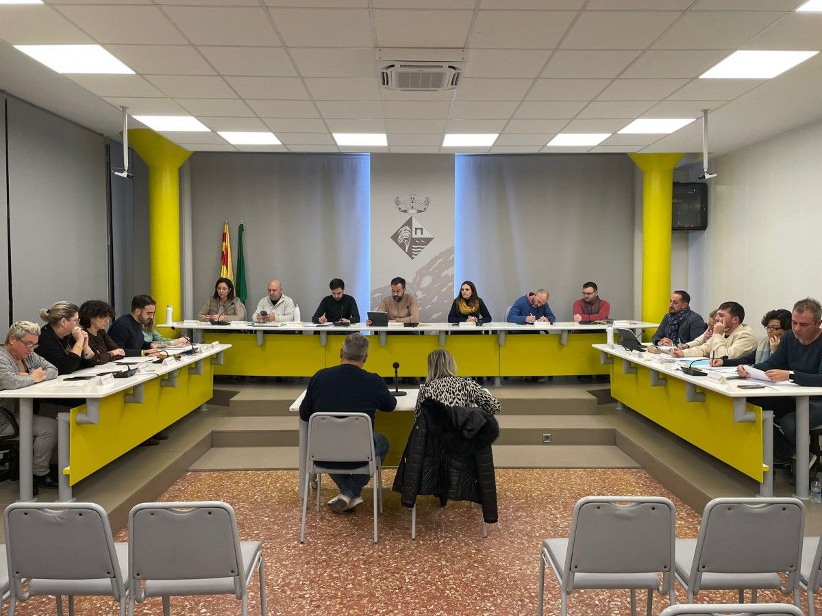Plenari del mes de gener a l'Ajuntament de Deltebre 