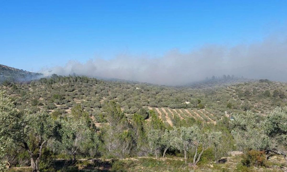 Imatge de l'incendi del Perelló, este dimarts.