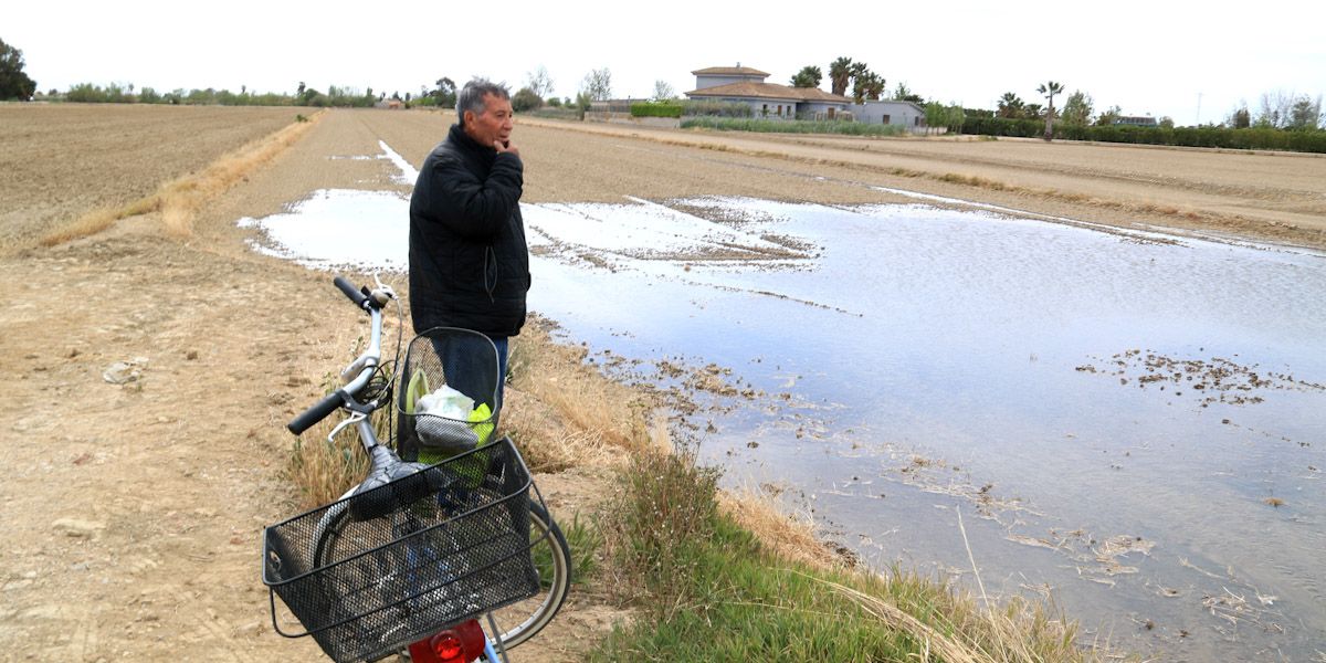 Ramon Vila, pagès de Deltebre, observa com s'inunda el seu camp d'arròs el dia de la soltada de l'aigua a l'hemidelta esquerre
