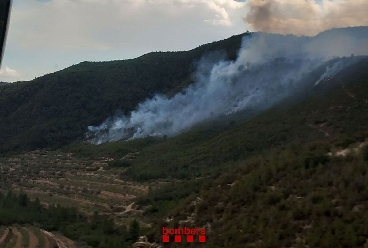 Imatge de l'incendi declarat a la Pobla de Massaluca.