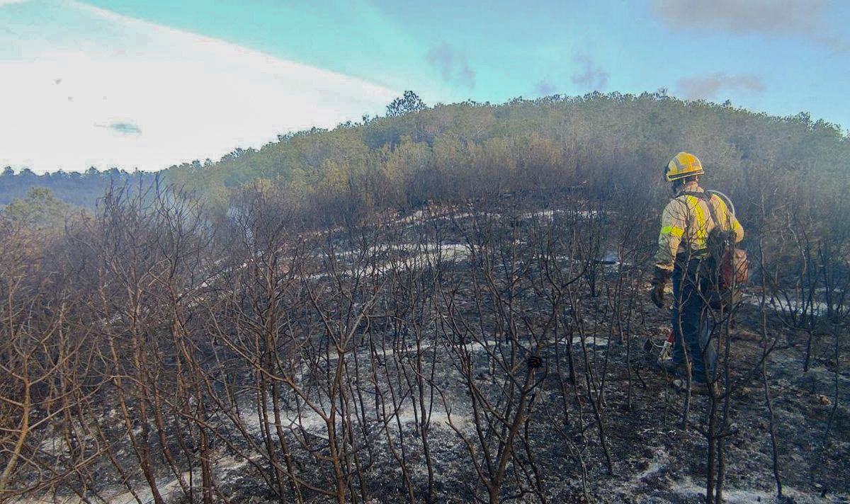 Un efectiu dels Bombers repassa una zona cremada per un incendi a la Pobla de Massaluca (Terra Alta)