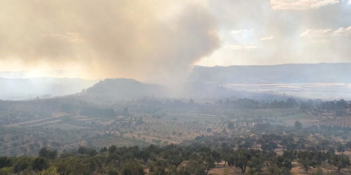 Imatge del foc des del terme municipal d'Horta de Sant Joan