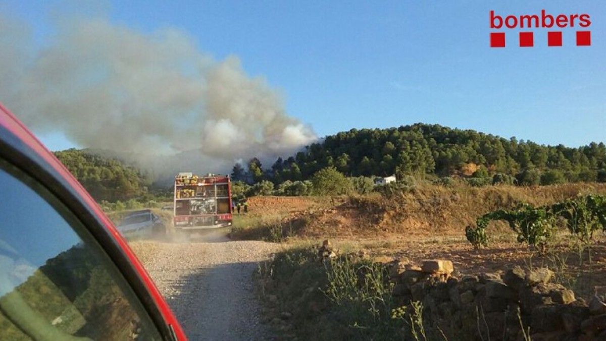 Imatge del darrer incendi, declarat este dimarts 8 d'agost, prop de la font de l'Heura, a Gandesa