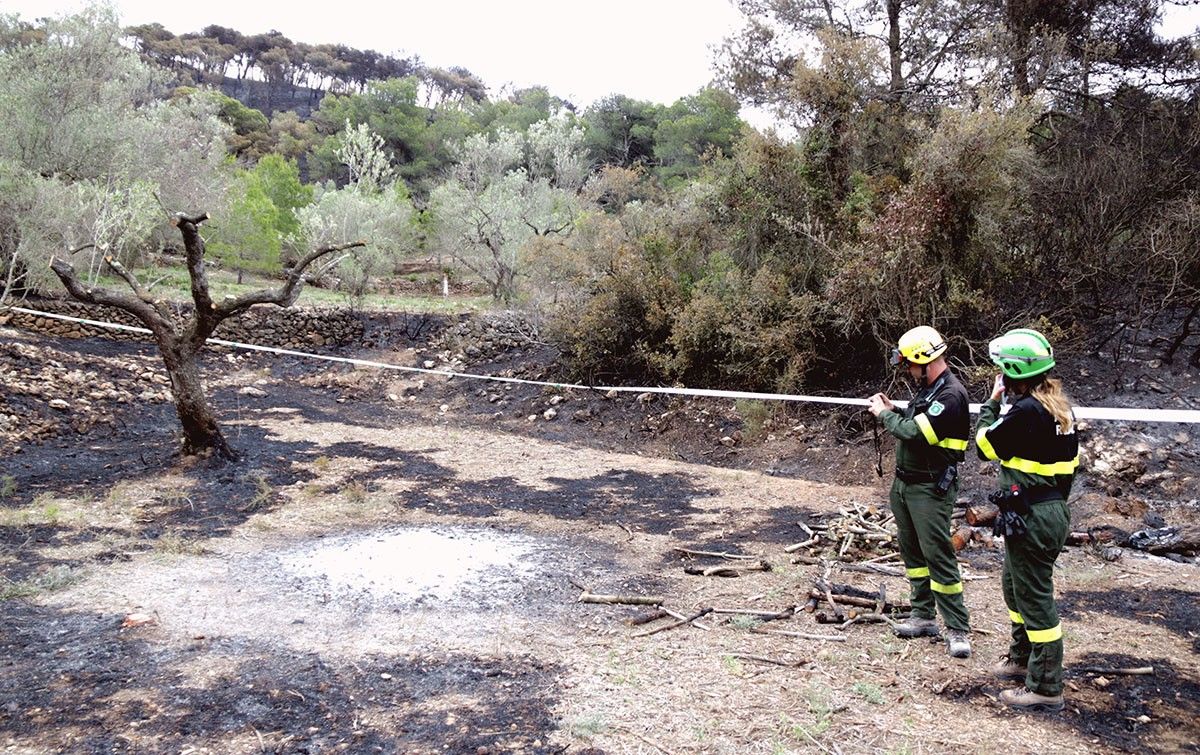 Dos agents rurals inspeccionant la foguera que hauria originat l'incendi del Perelló.