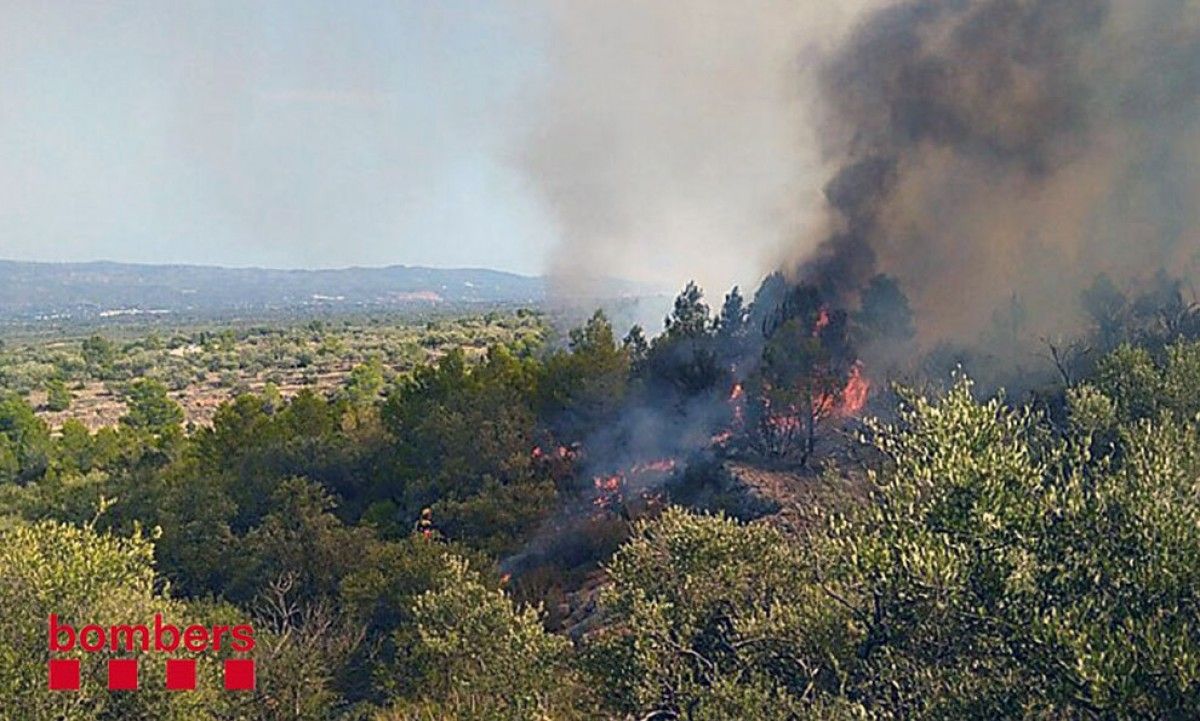 Imatges de l'incendi que s'ha declarat esta tarda al terme de Xerta.