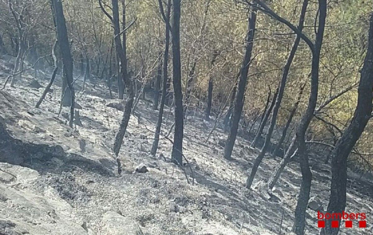 Els efectes del foc que s'ha declarat este dimecres a Móra d'Ebre.