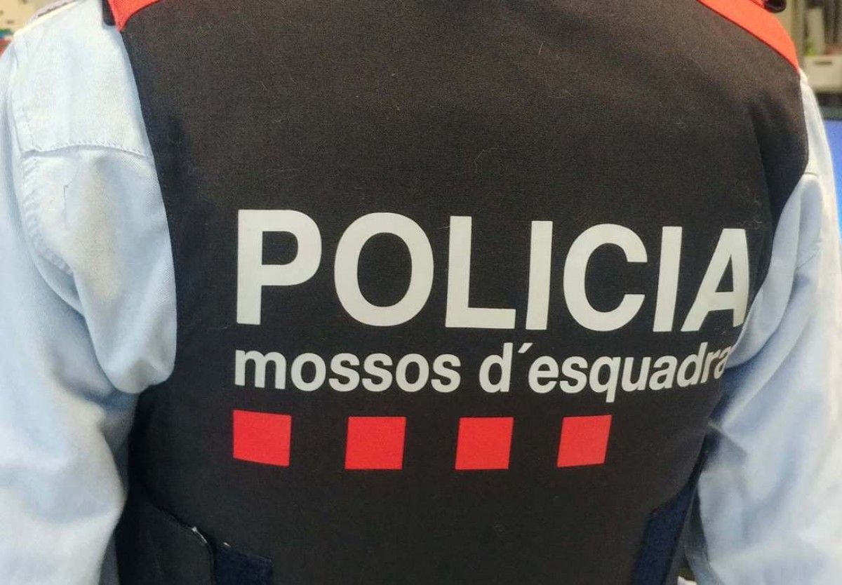 Els Mossos d'Esquadra han detingut dos joves en els últims dies per robatoris a Ulldecona i Freginals.