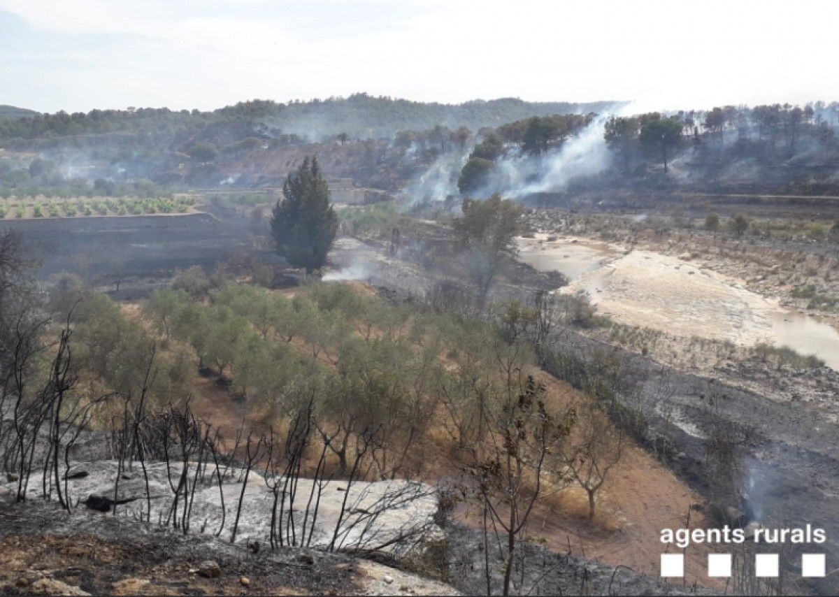 El foc ha cremat unes 14 hectàrees entre la Terra Alta i el Matarranya.