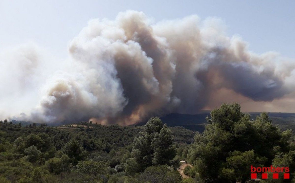 Imatge de l'incendi forestal entre Vinebre i la Torre de l'Espanyol.