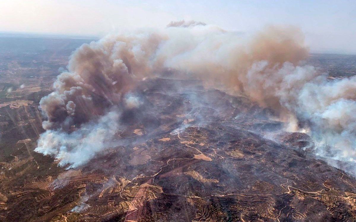 Imatge d'arxiu de l'incendi a la Ribera d'Ebre del juny de 2019