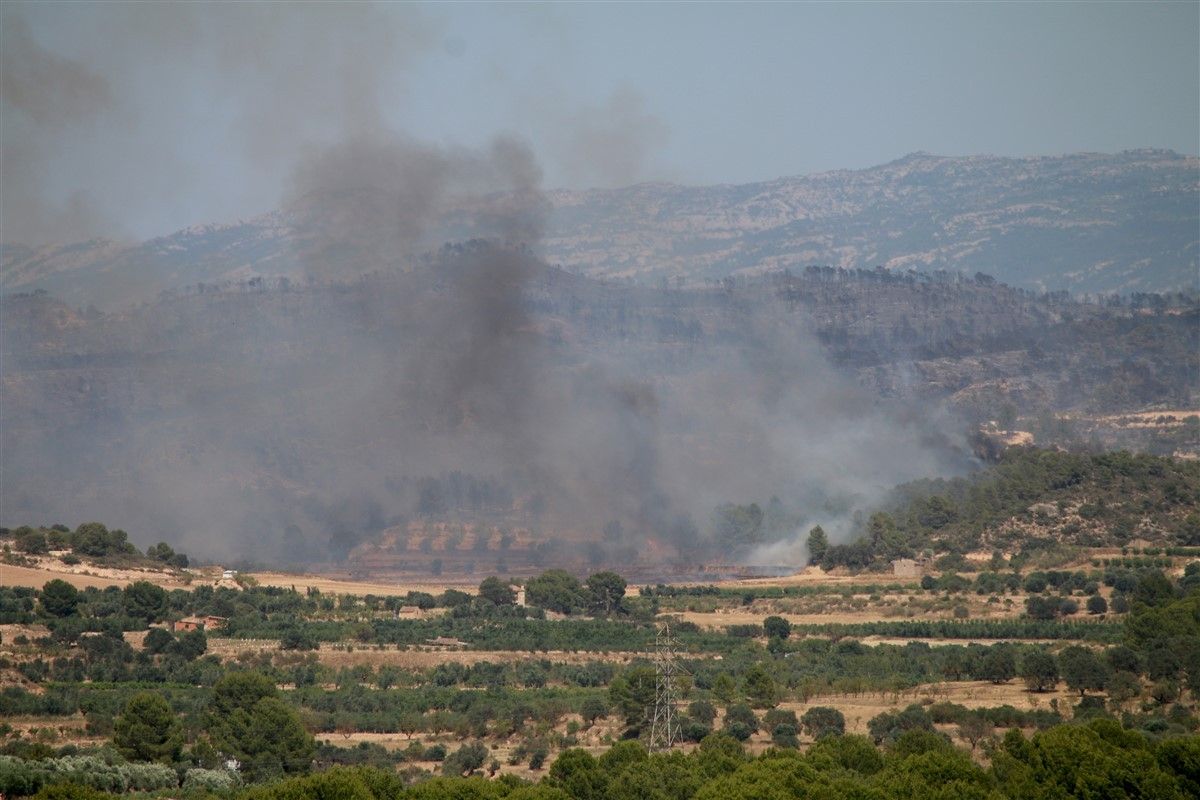 Vistes de l'incendi a la Ribera d'Ebre, este 27 de juny