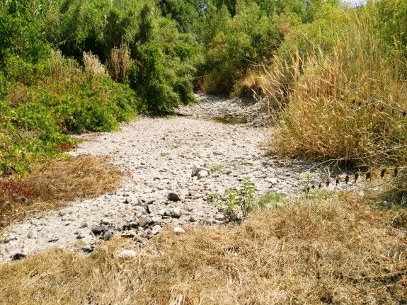 Durant molts de mesos, l'aigua no baixa per la llera del riu a causa de la concessió que la CHE ha donat a la Comunitat de Regants del Pantà de Riudecanyes.