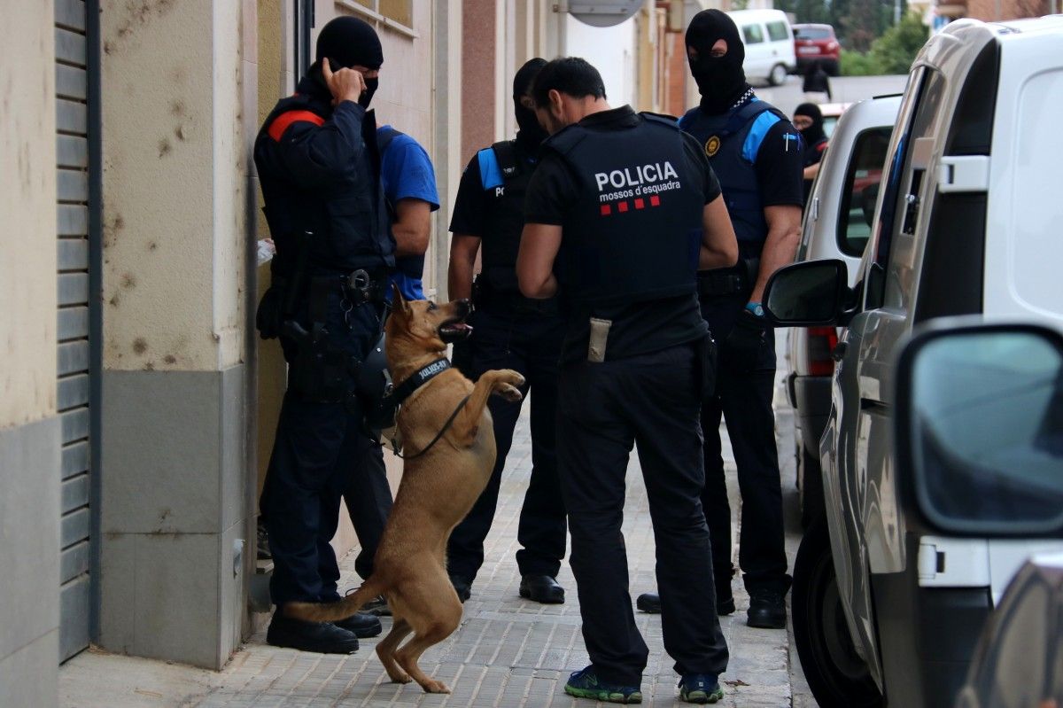 Agents dels Mossos d'Esquadra amb un gos en un dels escorcolls a Amposta