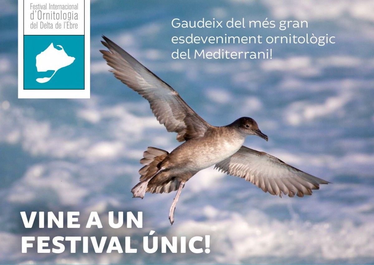 El Deltabirding és l’únic festival d’ornitologia que se celebra a Catalunya
