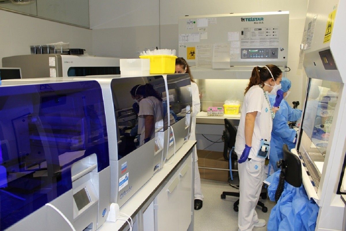 El laboratori de l'Hospital Joan XXIII de Tarragona on s'analitzen les proves PCR.