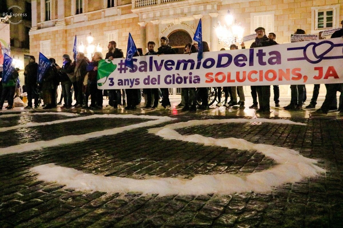 Concentració d'entitats ecologistes i de l'Ebre a la plaça de Sant Jaume de Barcelona en defensa del Delta quan fa tres anys del Gloria, amb un 