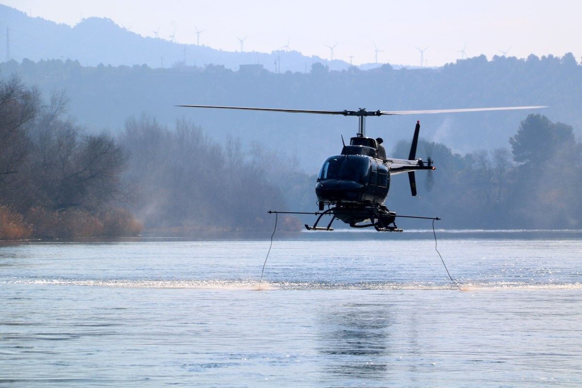 Un helicòpter ruixa amb el biocida BTI el tram de l'Ebre, a l'embarcador de Xerta, contra les larves de mosca negra  