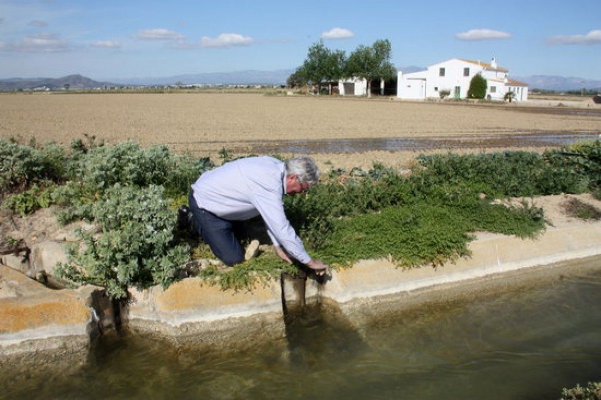 El president de la comunitat de regants de la Dreta de l'Ebre, Manel Masià, obrint el pas de l'aigua a un camp d'arròs