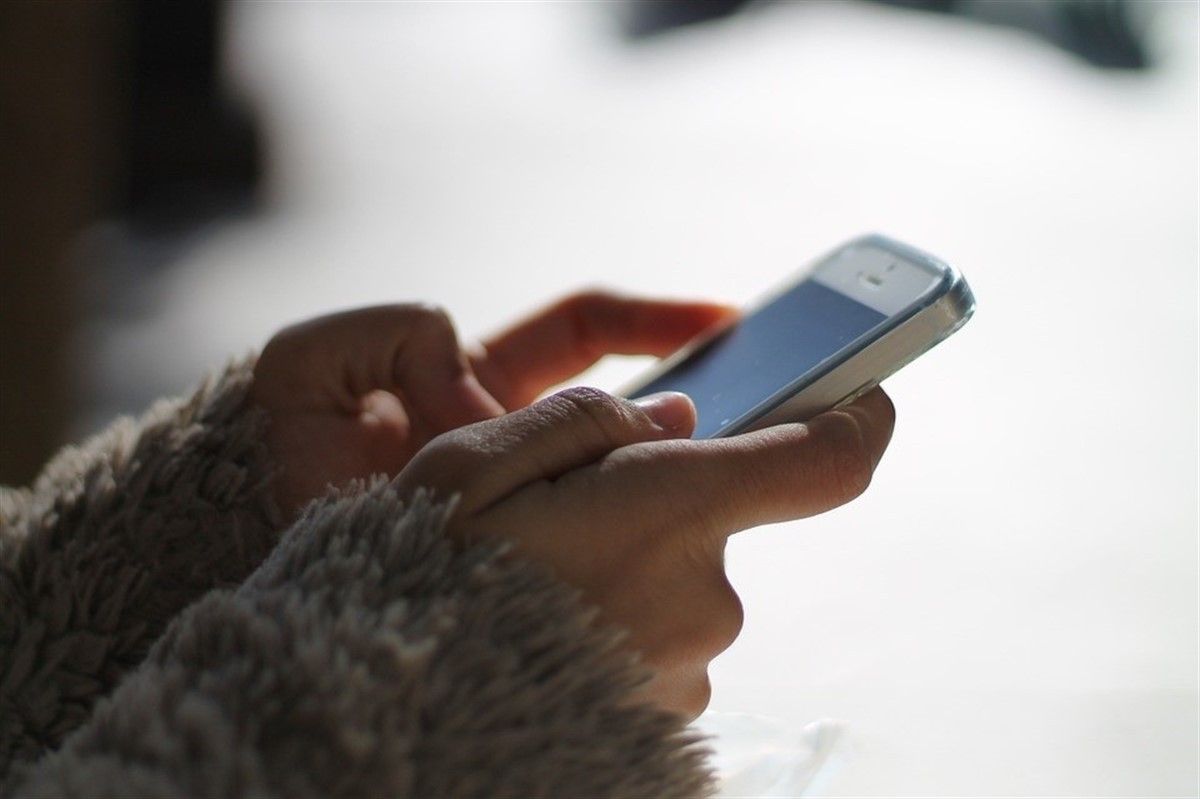 L'estafa arriba a les víctimes via SMS